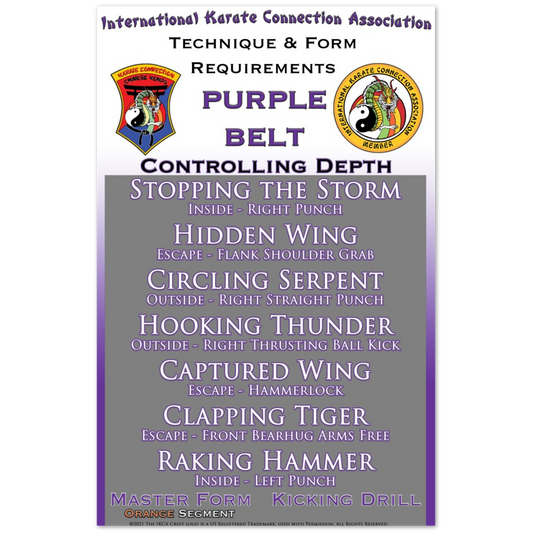 Purple Belt Technique & Form Requirements 11x17