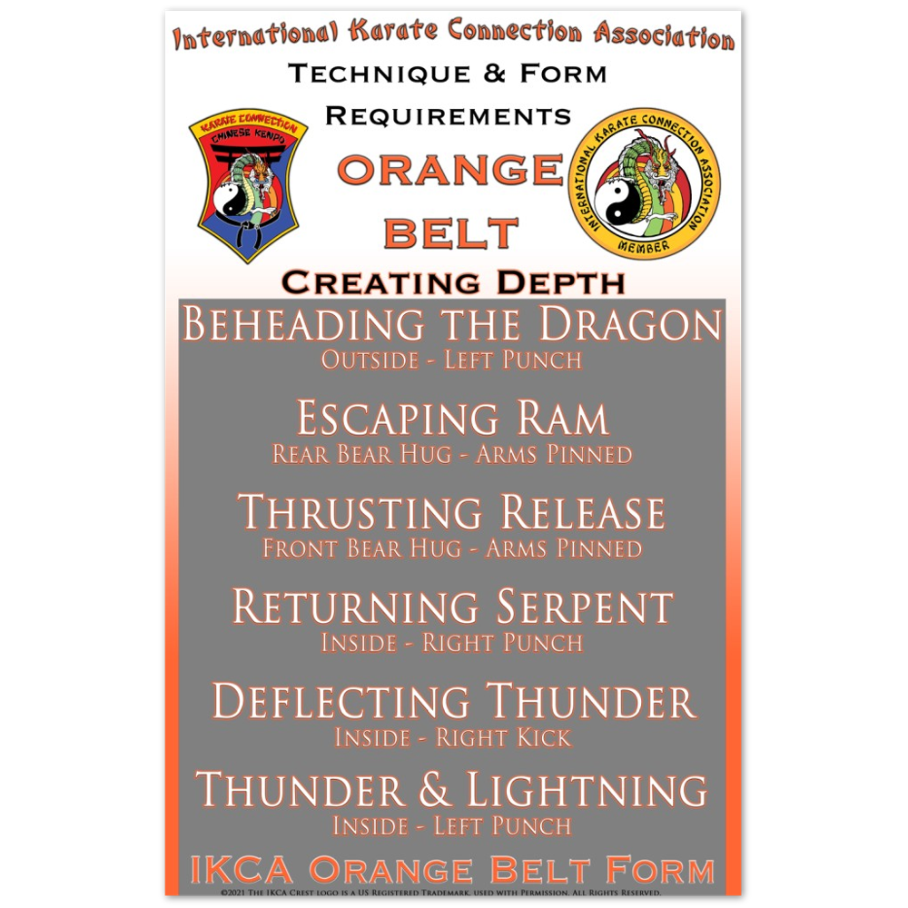 Orange Belt Technique & Form Requirements Poster 11 x 17