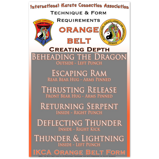 Orange Belt Technique & Form Requirements Poster 11 x 17