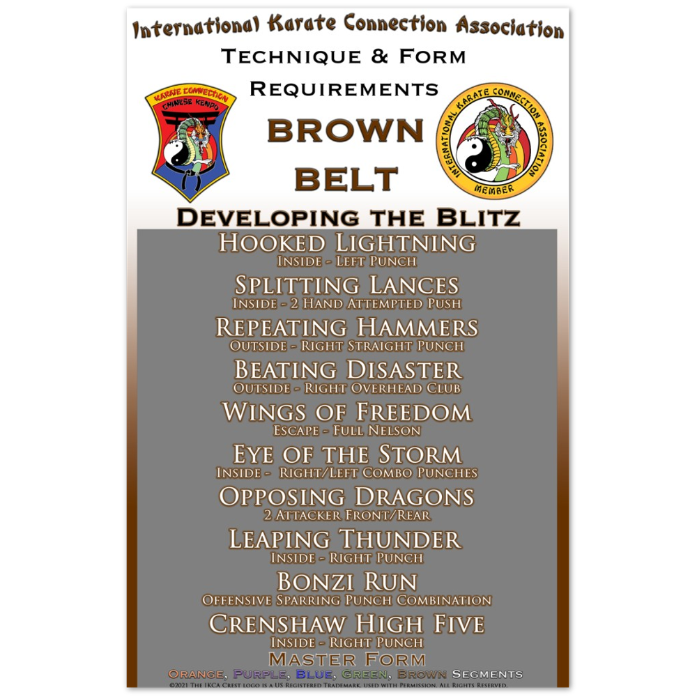 Brown Belt Technique & Form Requirements Poster 11x17