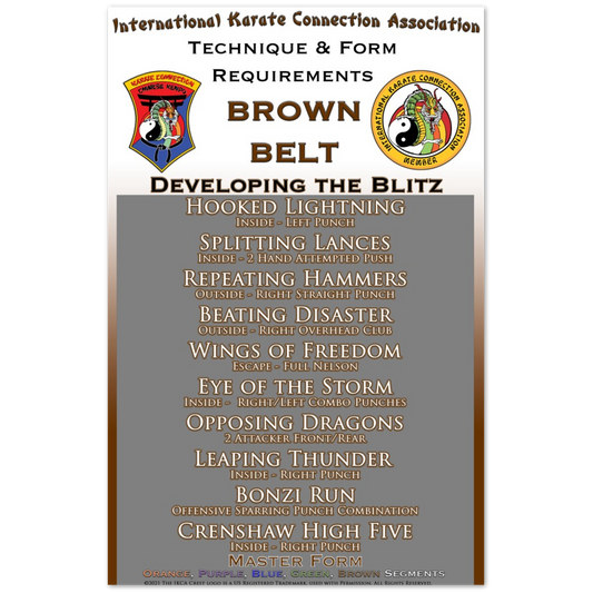 Brown Belt Technique & Form Requirements Poster 11x17