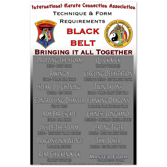 Black Belt Technique & Form Requirements Poster 11x17