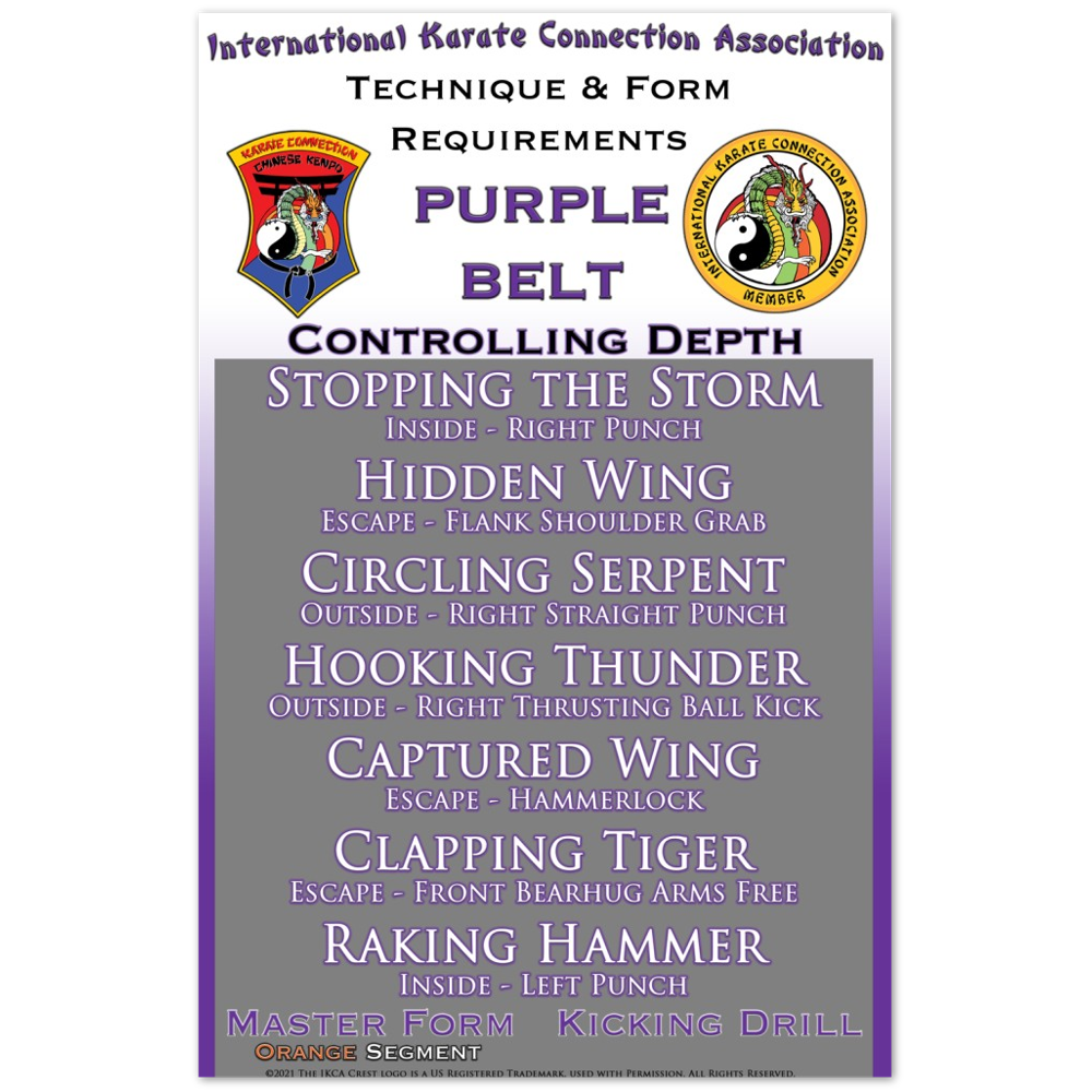 Purple Belt Technique & Form Requirements 11x17