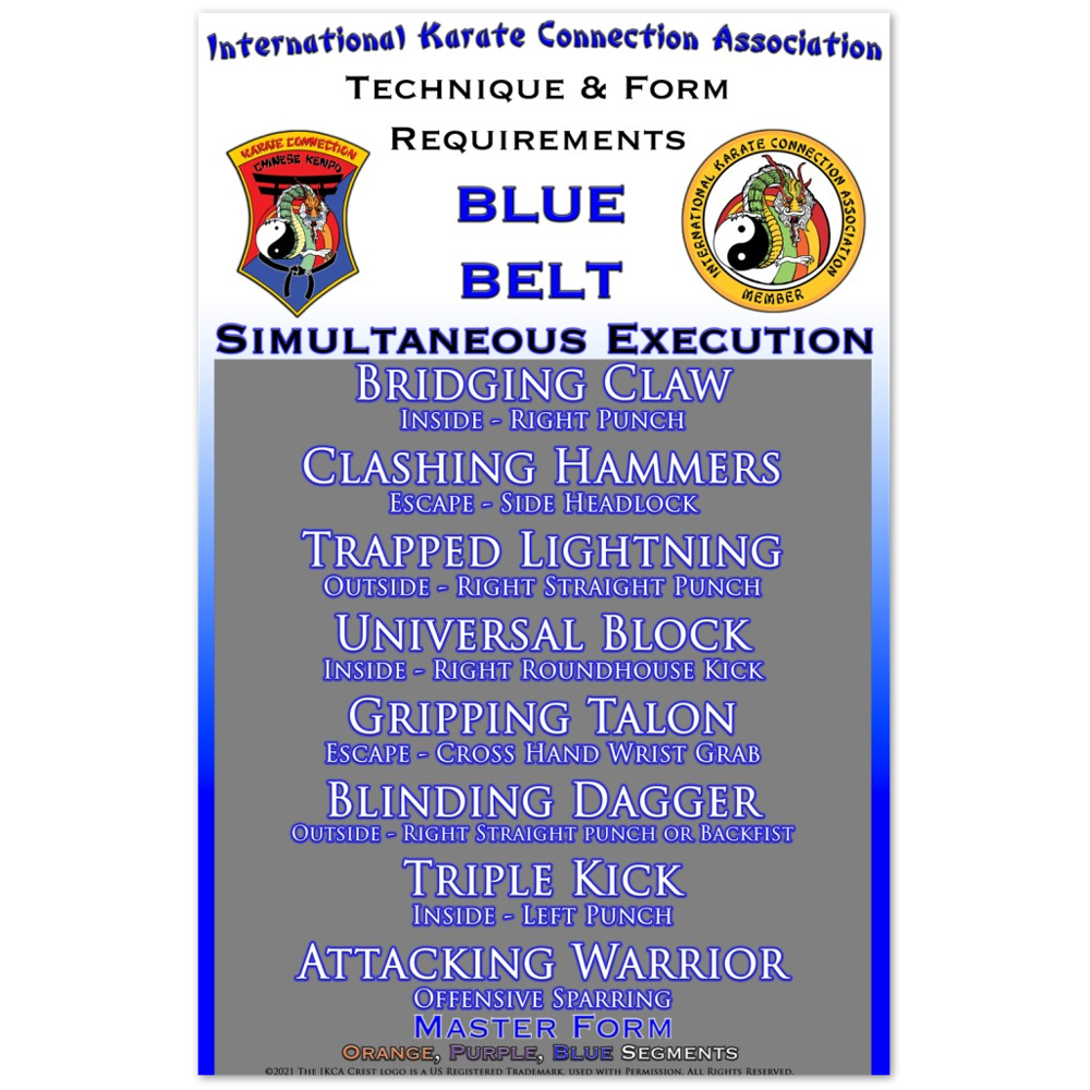 Blue Belt Technique Form Requirements Posters 11x17