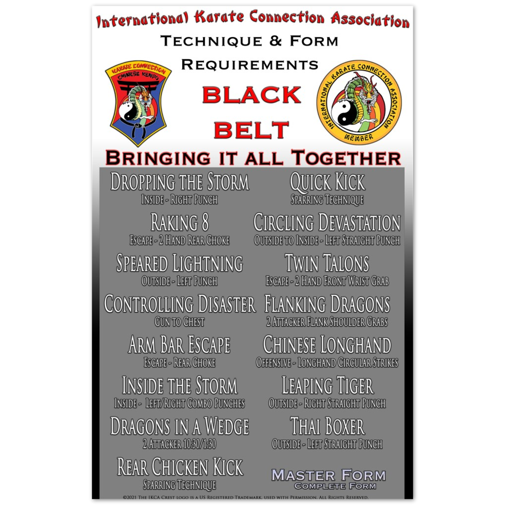 Black Belt Technique & Form Requirements Poster 11x17